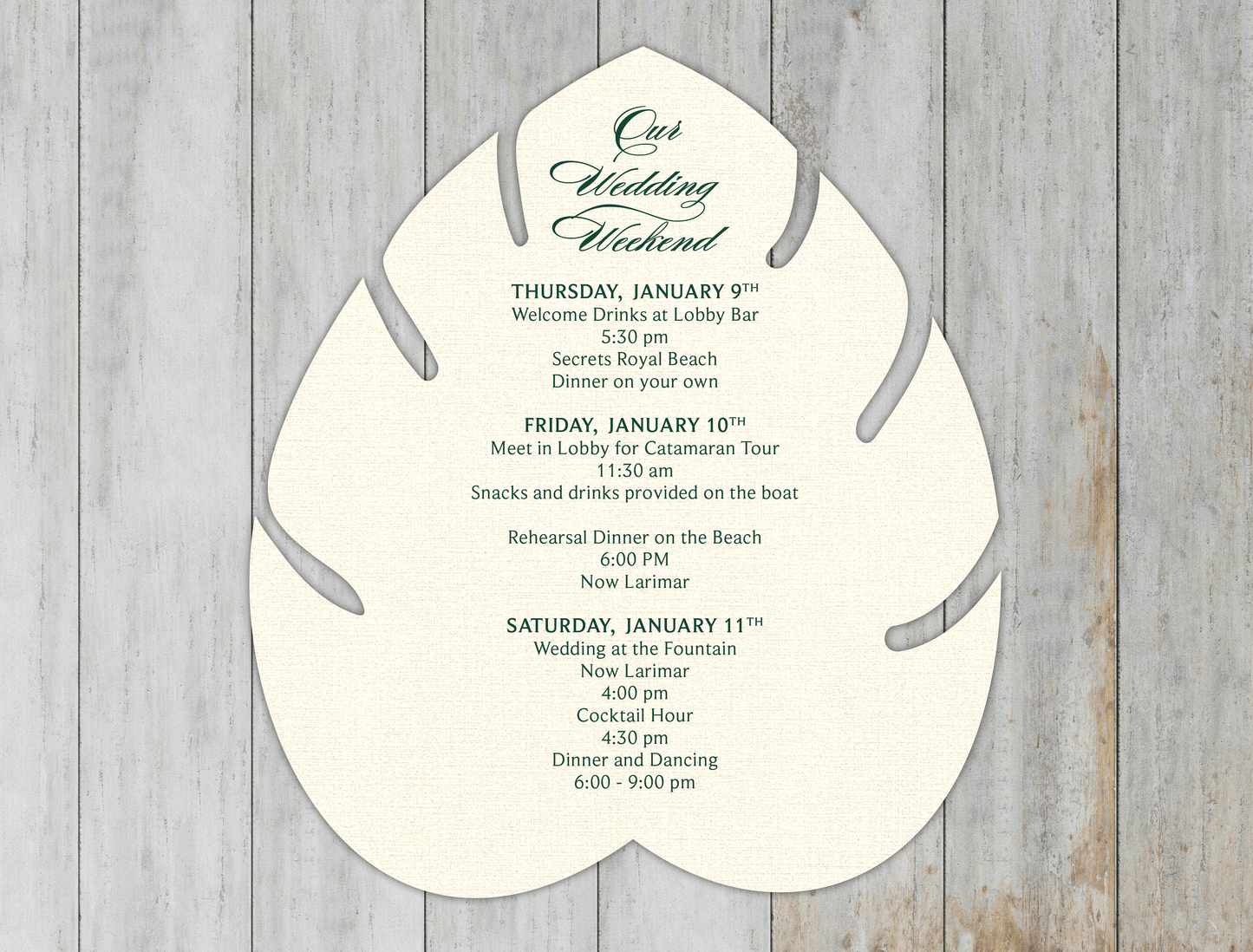 Monstera Leaf Itinerary