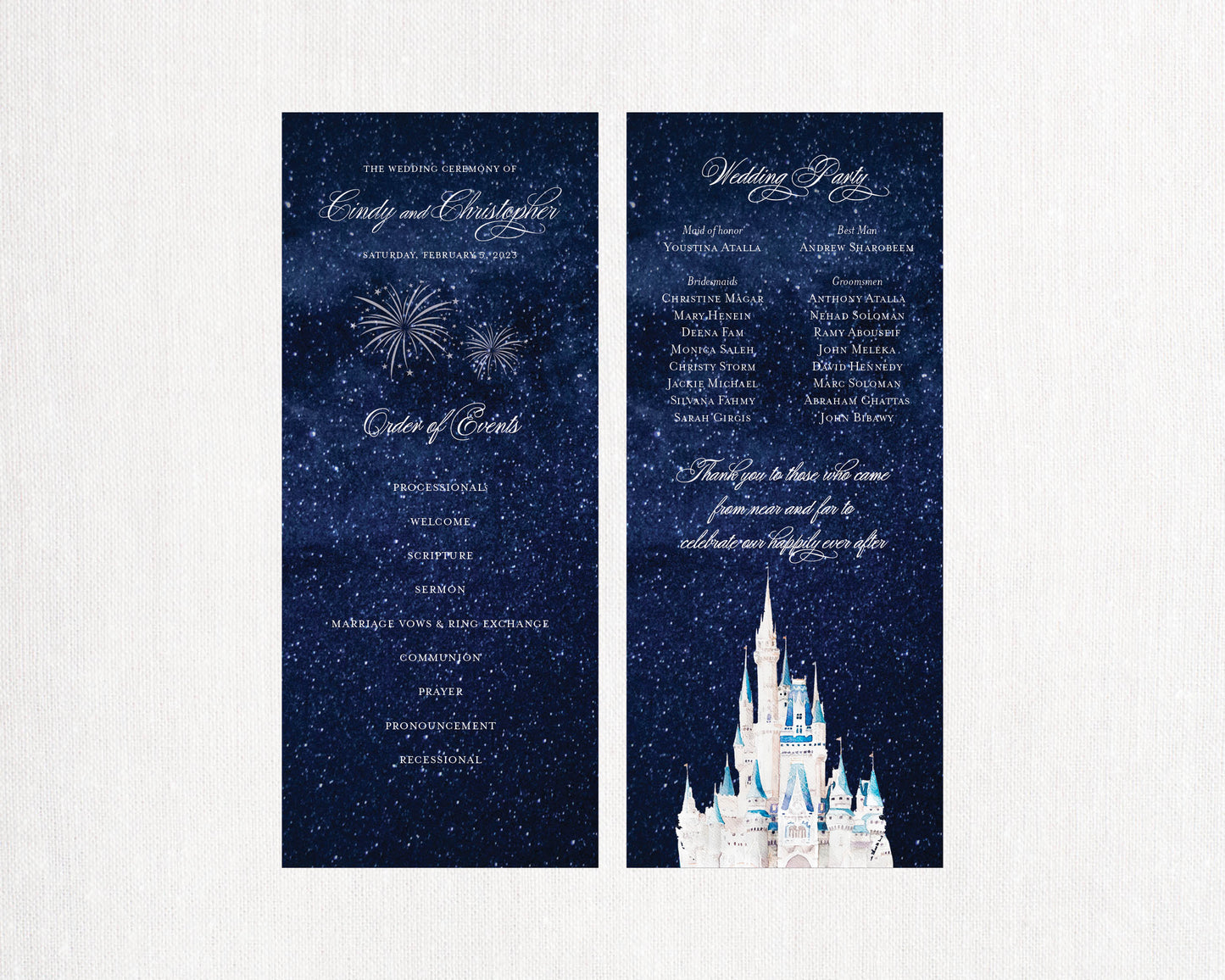 Galactic Fairytale Castle Flat Program