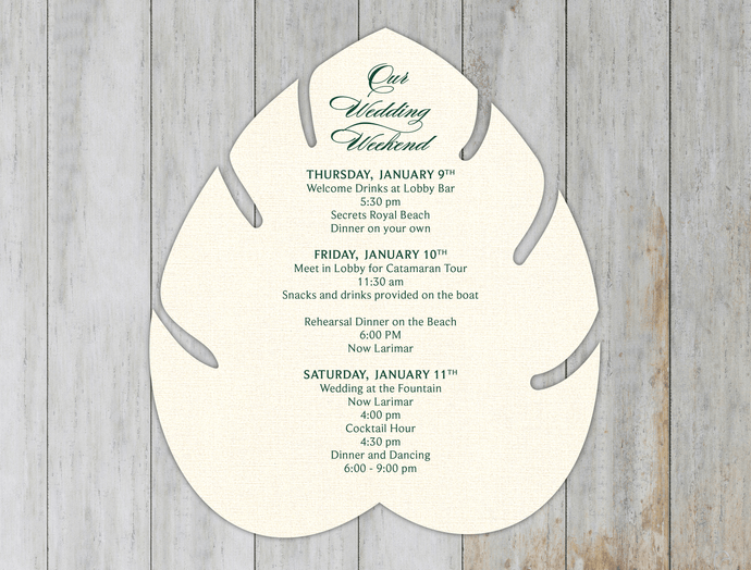 Monsterra Leaf Itinerary